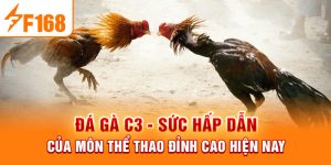 Đá Gà C3 - Sức Hấp Dẫn Của Môn Thể Thao Đỉnh Cao Hiện Nay