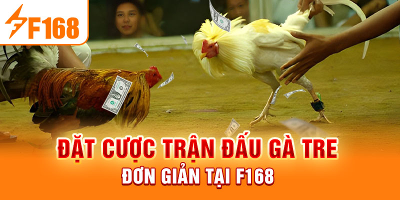 Đặt cược trận đấu gà tre đơn giản tại F168