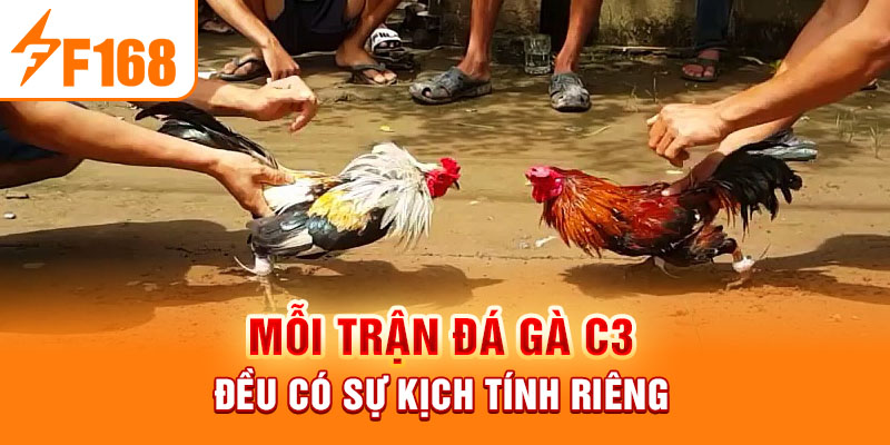 Mỗi trận đá gà C3 đều có sự kịch tính riêng