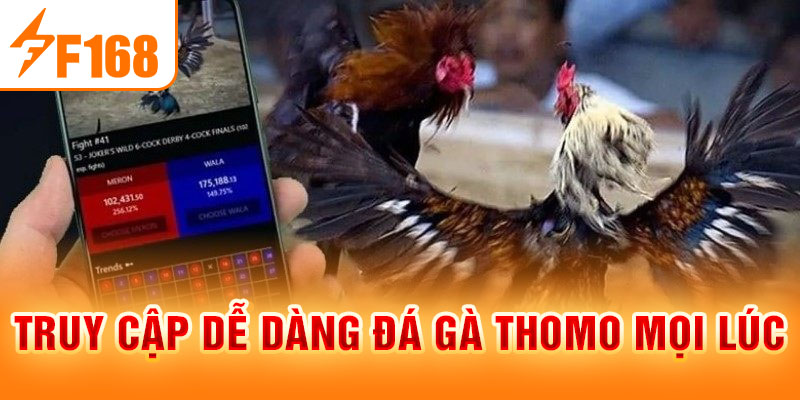 Truy cập dễ dàng đá gà Thomo mọi lúc